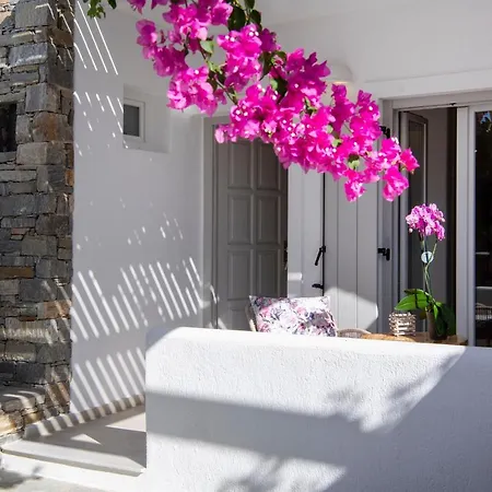 Corina Studios-apartments Apartment